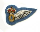 Wing Badge